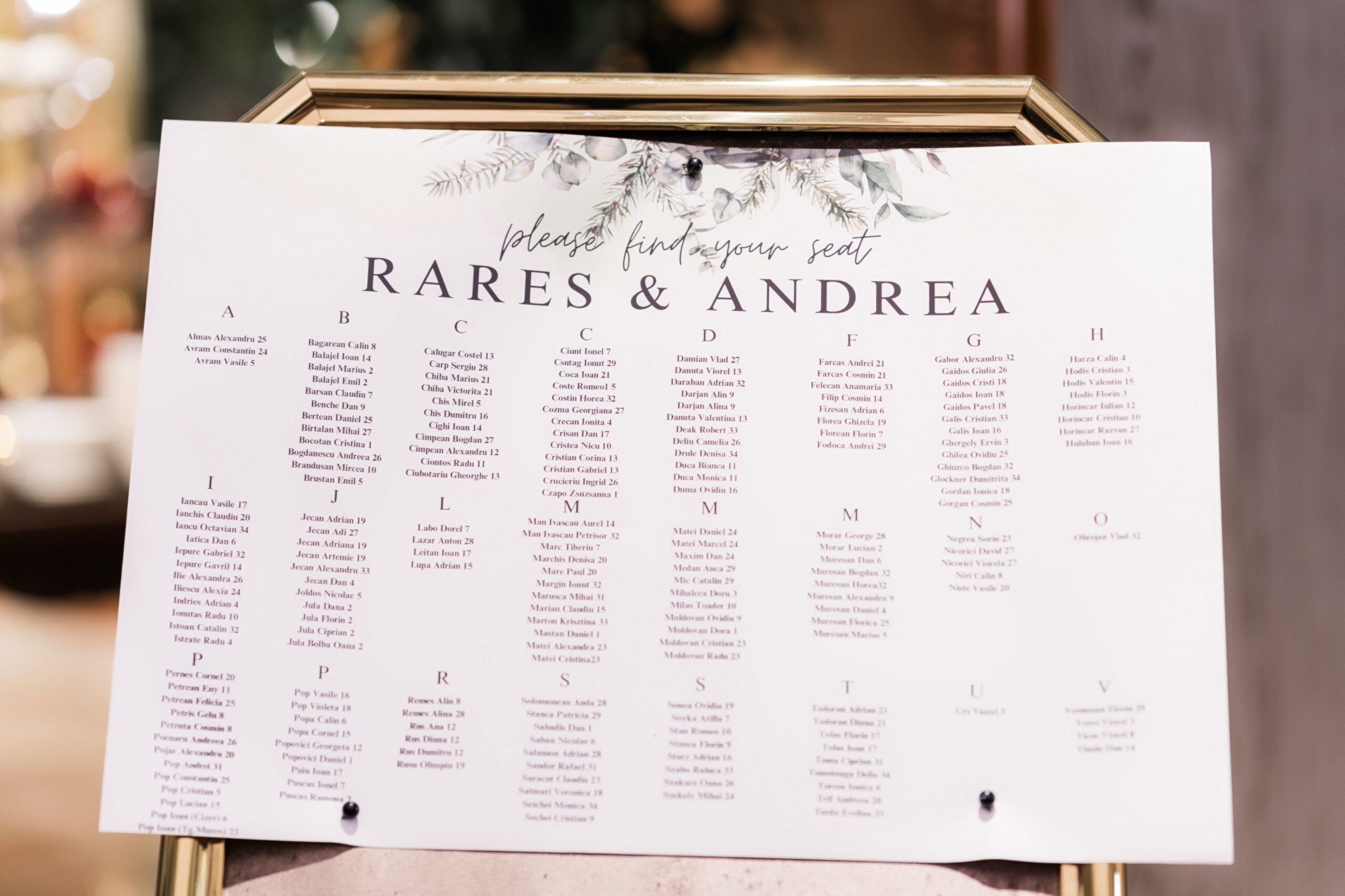 Rares & Andrea-439